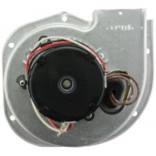 Rheem Induced Draft Blower with Gasket - 208,230V, Discharge Right - 70-23641-04